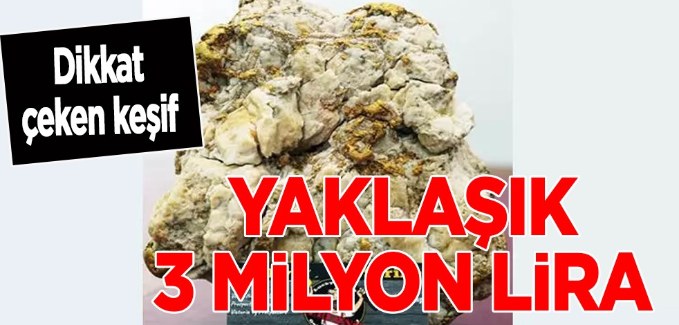 Avustralya’da heyecan veren keşif! Binlerce dolarlık hazine buldu: Şok sözler sarf etti, duyanlar şaştı kaldı