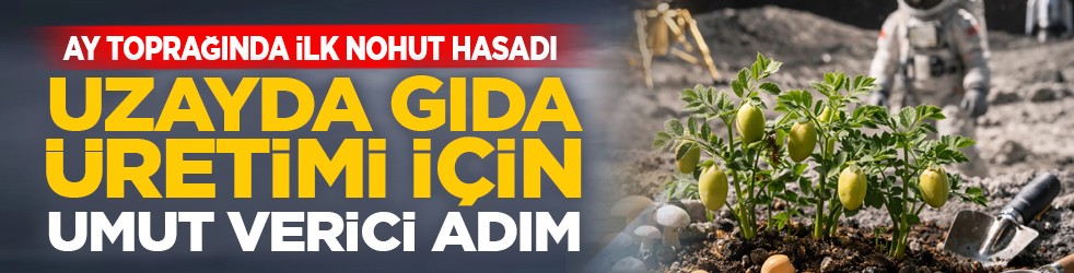 Ay toprağında ilk nohut hasadı: Uzayda gıda üretimi için umut verici adım