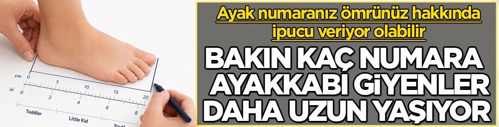 Ayak numaranız ömrünüz hakkında ipucu veriyor olabilir! Bakın kaç numara ayakkabı giyenler daha uzun yaşıyor