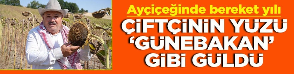 Ayçiçeğinde bereket yılı Çiftçinin yüzü Günebakan gibi güldü
