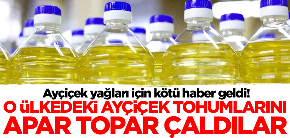 Ayçiçek yağı fiyatlarını etkileyecek gelişme! O ülkedeki ayçiçek tohumlarını çaldılar