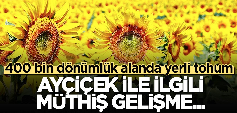 Ayçiçek yağında rekor! Kritik Türkiye virajı: yerli ayçiçek yağı için hacim genişliyor! Üretici için en çok onu istiyor