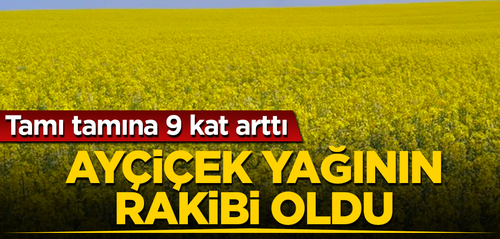 Ayçiçek yağının rakibi oldu! Tamı tamına 9 kat arttı