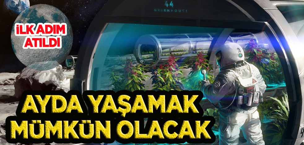 Ay'da yaşam mümkün mü? İlk adım atıldı: Tarım yapmak için proje, yeni bir dönem! Hidroponik yöntem