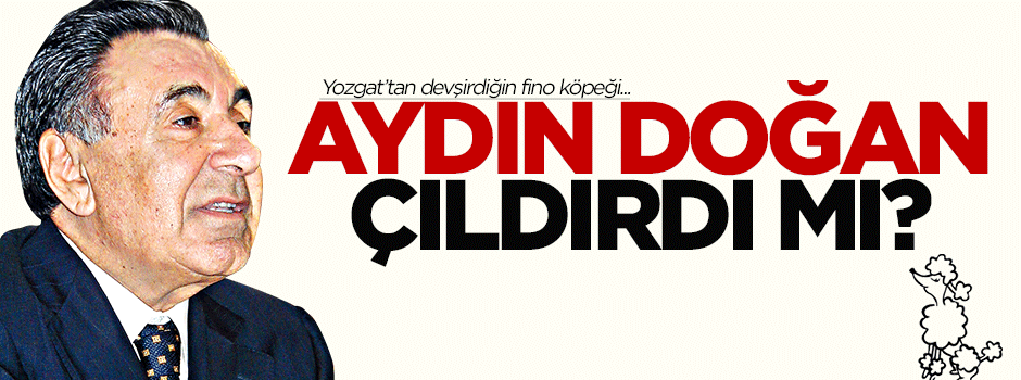 Aydın Doğan çıldırdı mı?