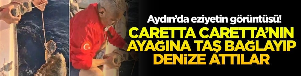 Aydın’da eziyetin görüntüsü! Caretta Caretta'nın ayağına taş bağlayıp denize attılar