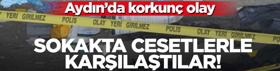 Aydın’da korkunç olay: Sokakta cesetlerle karşılaştılar!