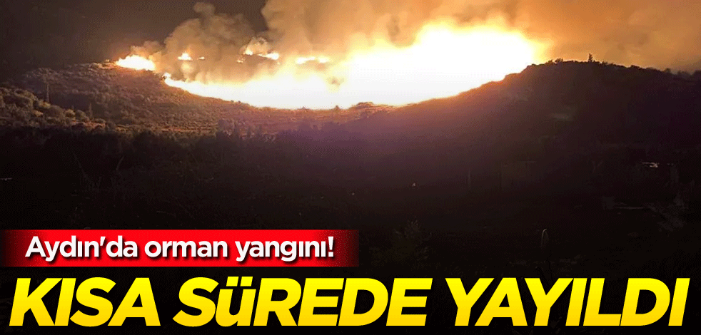 Aydın'da orman yangını! Kısa sürede yayıldı