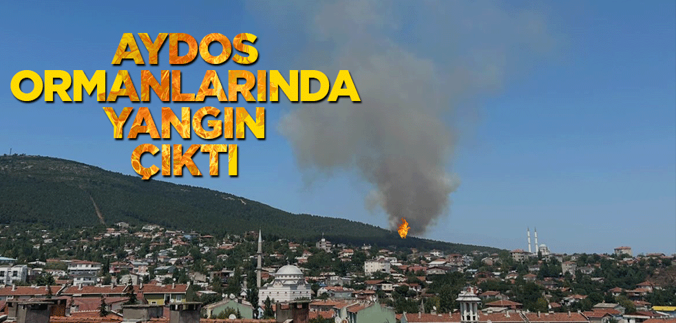 Aydos ormanında yangın çıktı! Ekipler harekete geçti
