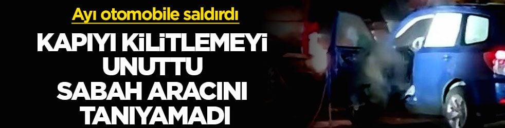 Ayı otomobile saldırdı! Kapıyı kilitlemeyi unuttu, sabah aracını tanıyamadı