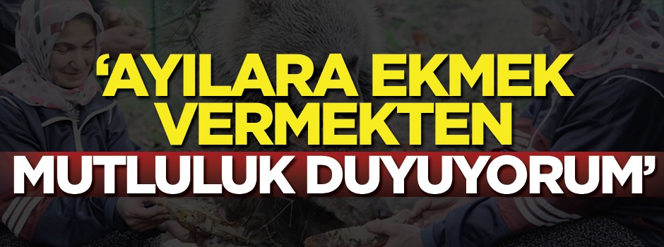 'Ayılara ekmek vermekten büyük mutluluk duyuyorum'