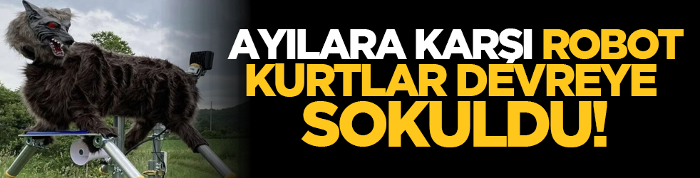 Ayılara karşı robot kurtlar devreye sokuldu!