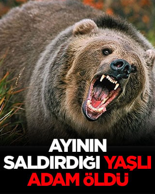 Ayının saldırdığı yaşlı adam öldü