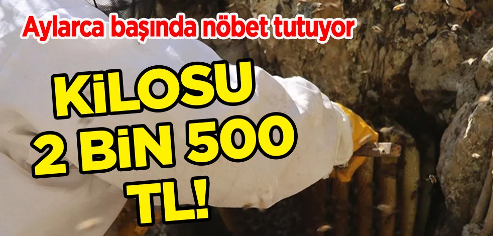 Aylarca başında nöbet tutuyor! Kilosu 2 bin 500 TL! Yalnızca 40 kilogram üretiliyor