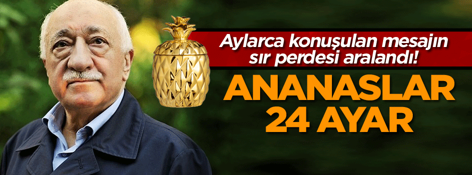Aylarca konuşulan mesajın sır perdesi aralandı! Ananaslar 24 ayar