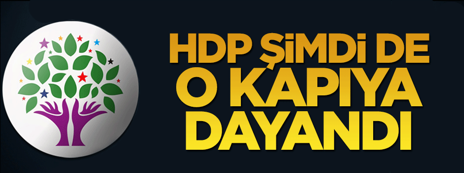 AYM'den red alan HDP şimdi de AİHM'nin kapısına dayandı