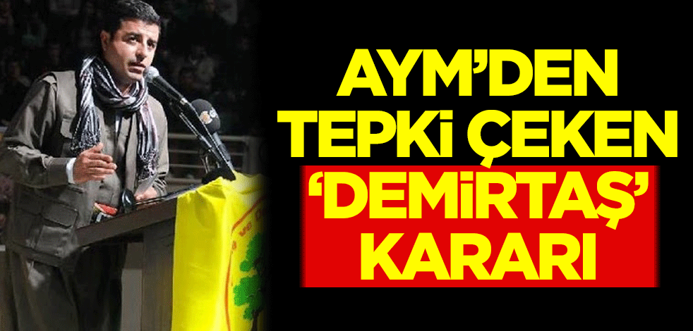 AYM'den tepki çeken 'Selahattin Demirtaş' kararı
