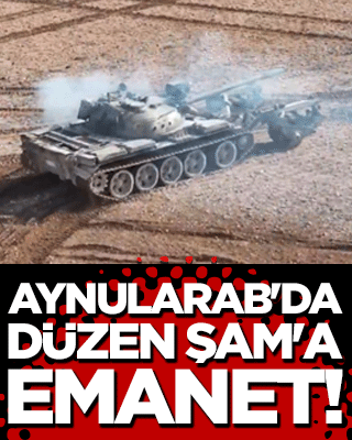 Aynularab'da düzen Şam'a emanet!