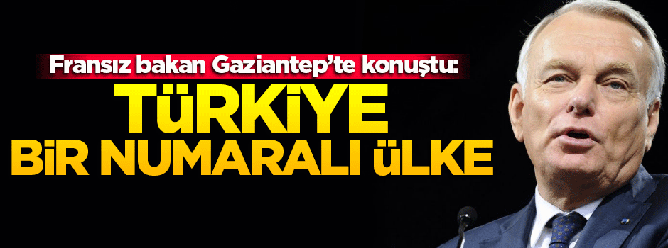 Ayrault: Türkiye bir numaralı ülke