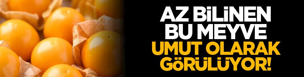 Az bilinen bu meyve umut olarak görülüyor!