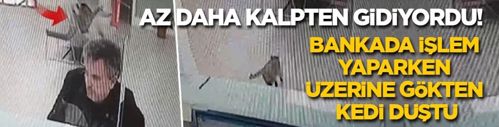 Az daha kalpten gidiyordu! Bankada işlem yaparken üzerine gökten kedi düştü