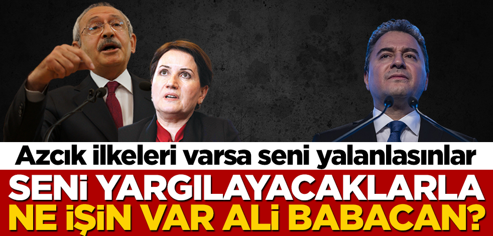 Azcık ilkeleri varsa seni yalanlasınlar! Seni yargılayacaklarla ne işin var Ali Babacan?