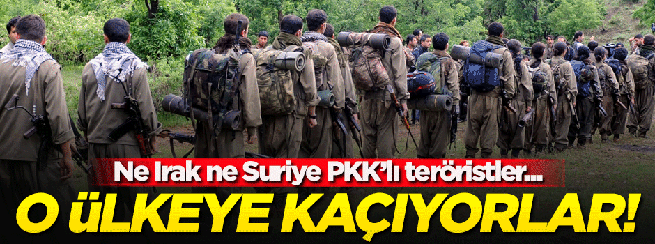 Azerbaycan'dan flaş haber! Türkiye'den kaçan PKK'lılar oraya...