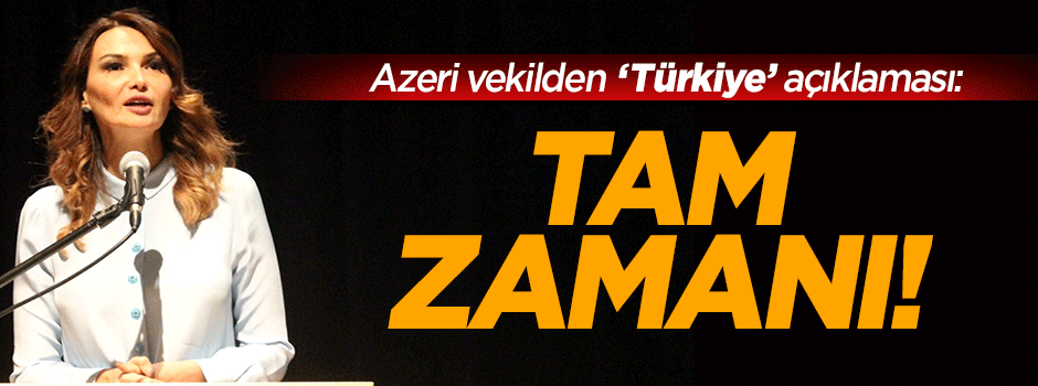 Azeri vekil: Bugün Türkiye'ye sahip çıkma zamanı!