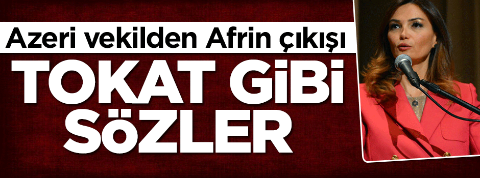 Azeri vekilden Afrin çıkışı