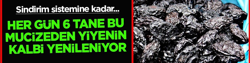 B vitamininden zengin kuru erik: Bundan alın çok etkisi var! İlaçlardan bile daha iyi etki ediyor