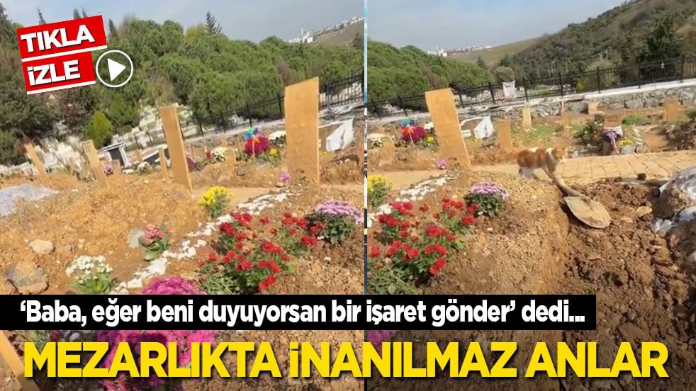 ‘Baba, eğer beni duyuyorsan bir işaret gönder’ dedi, şok oldu! Mezarlıkta inanılmaz anlar…