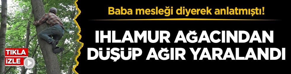 Baba mesleği diyerek anlatmıştı! Ihlamur ağacından düşüp ağır yaralandı