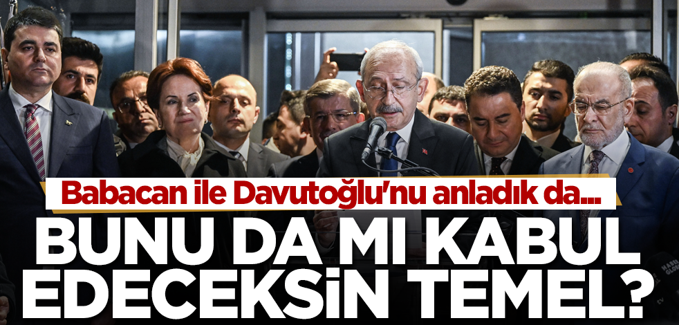 Babacan ile Davutoğlu'nu anladık da... Bunu da mı kabul edeceksin Temel?