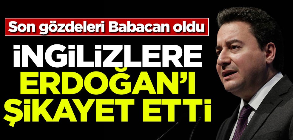 Babacan İngilizlere Erdoğan'ı şikayet etti
