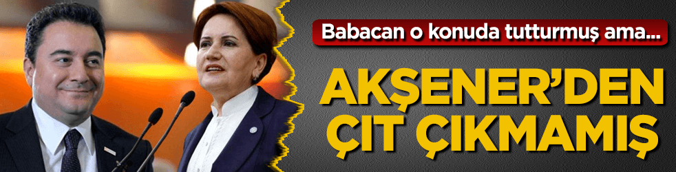 Babacan o konuda tutturmuş, ama Akşener'den çıt çıkmamış