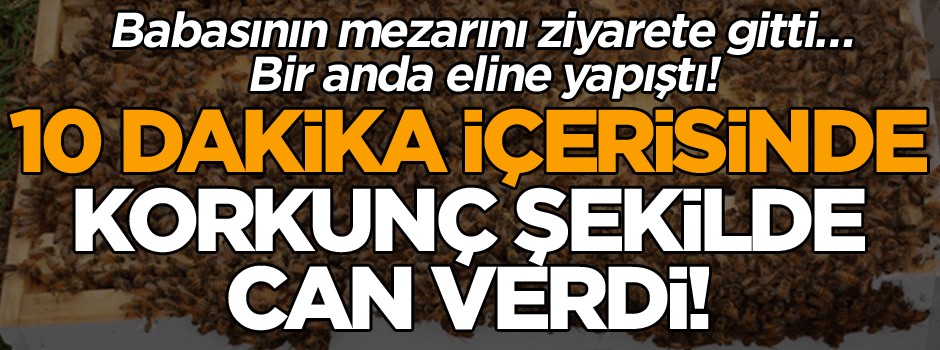 Babasının mezarını ziyarete gitti… Bir anda eline yapıştı! 10 dakika içerisinde korkunç şekilde can verdi!