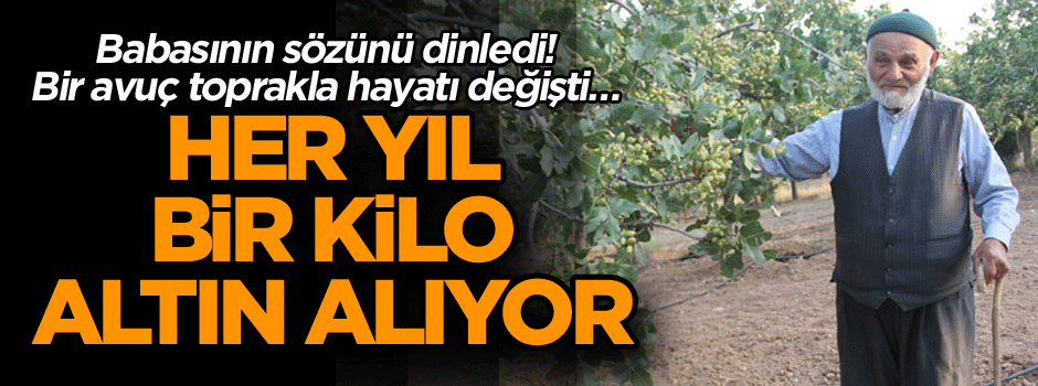 Babasının sözünü dinledi! Bir avuç toprakla hayatı değişti… Her yıl bir kilo altın alıyor