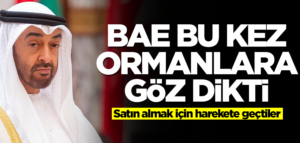BAE bu kez ormanlara göz dikti! Satın almak için harekete geçtiler