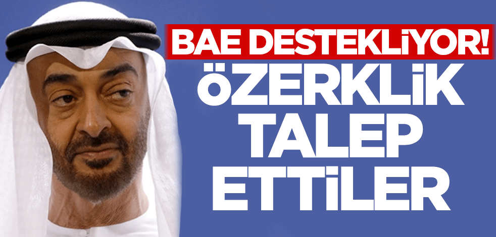 BAE destekliyor! Özerklik talep ettiler