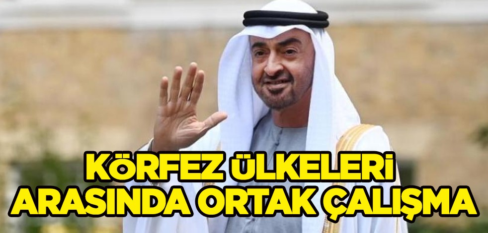 BAE Devlet Başkanı Nahyan, Katar Emiri Al Sani ile bölgesel gelişmeleri görüştü! Ortak çalışma kararı