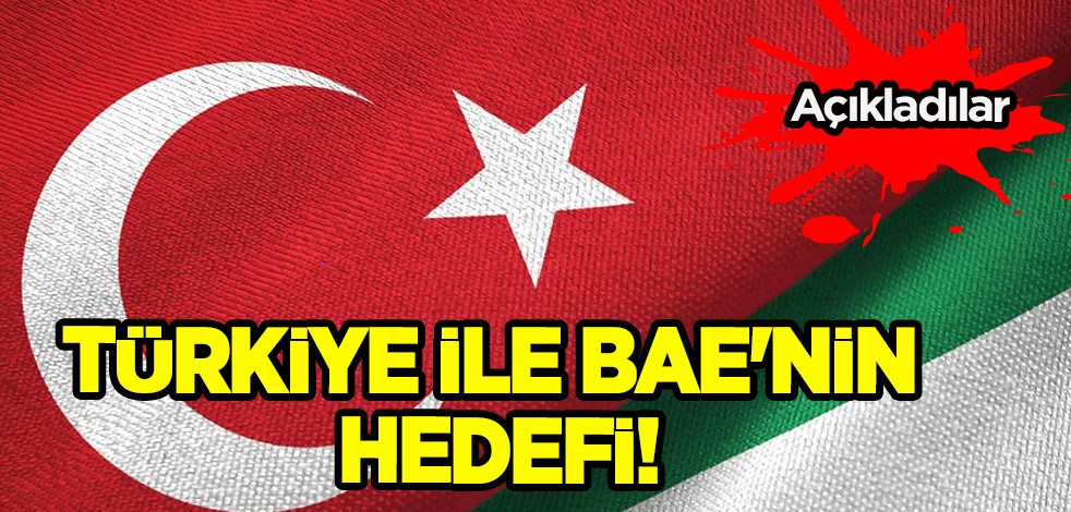 BAE ile Türkiye'nin hedefi! Kararı: Destek ve katkılara ilişkin açıklama, çarpıcı sözler