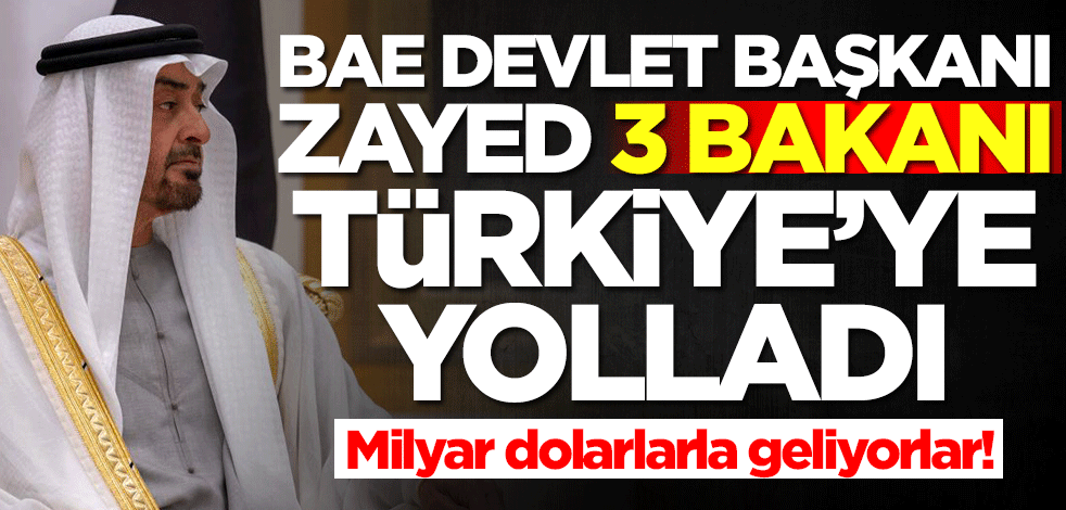 BAE lideri Zayed 3 bakanı Türkiye'ye yolladı! CEO'lar milyar dolarları...