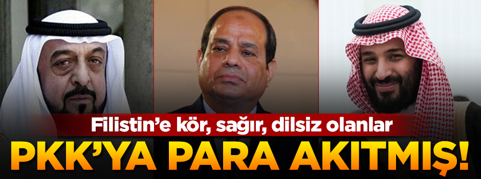 BAE, Mısır ve Suudi Arabistan terör örgütü PKK’ya destek veriyor