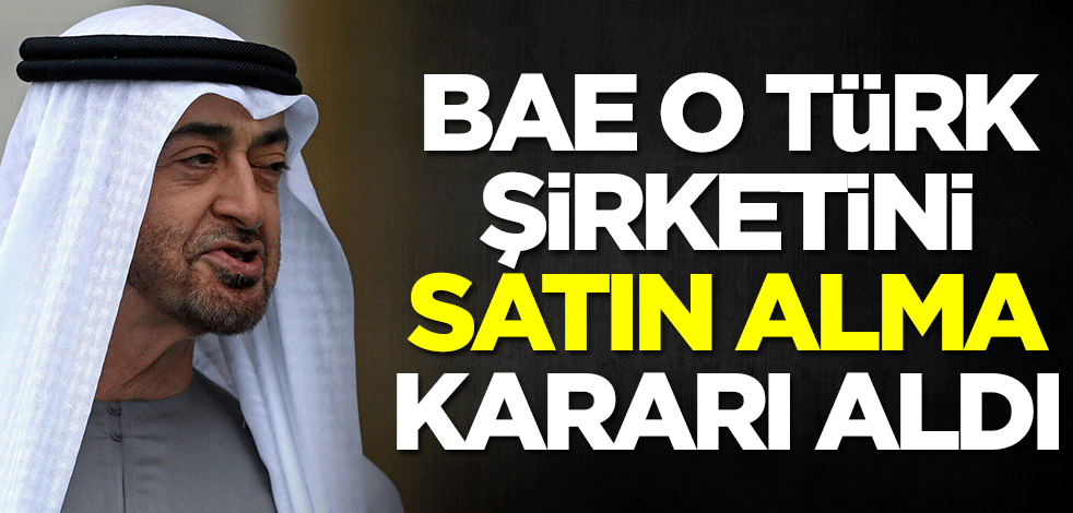 BAE o Türk şirketini satın alma kararı aldı