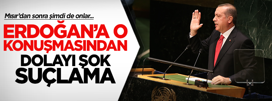 BAE'den Cumhurbaşkanı Erdoğan'a suçlama!