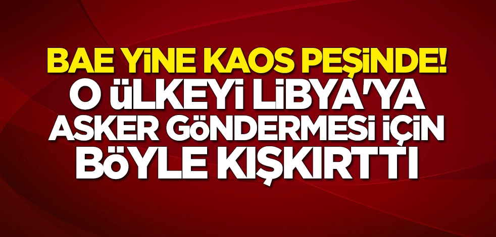 BAE'li siyaset bilimcinin Mısır'ı Libya'ya müdahale için kışkırtan skandal paylaşımına büyük tepki yağdı
