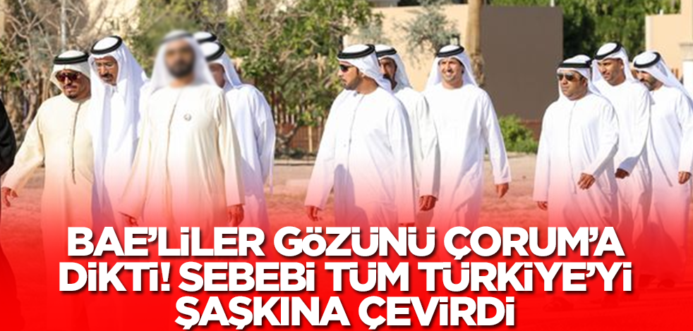 BAE'liler gözünü Çorum'a dikti! Sebebi tüm Türkiye'yi şaşkına çevirdi, çılgınlar gibi alıyorlar