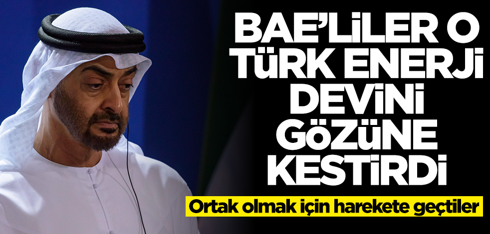 BAE'liler o Türk enerji devine ortak olmak için harekete geçti! Çok büyük bir anlaşma olabilir