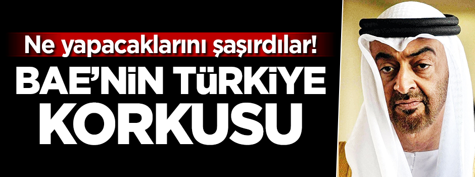 BAE'nin Türkiye korkusu!