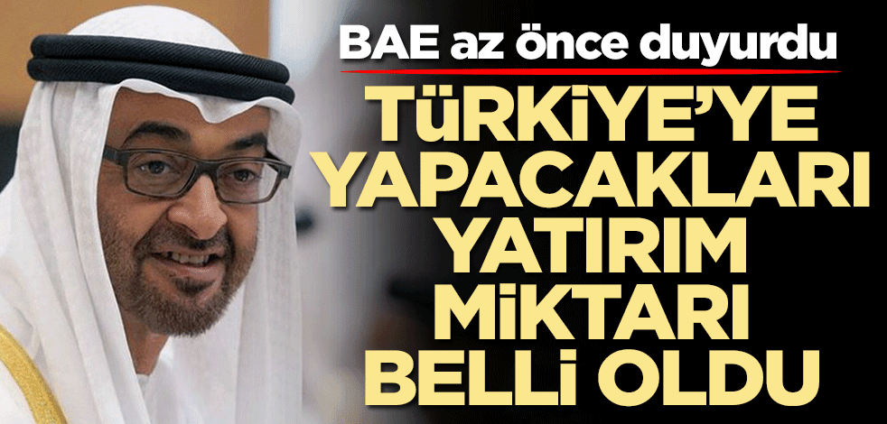 BAE'nin Türkiye'ye yapacağı yatırım miktarı belli oldu